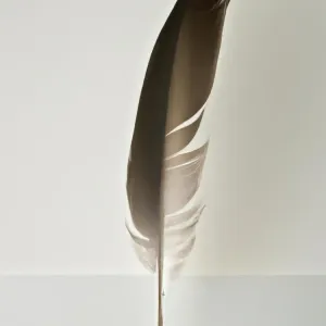 Dua Lipa – be the one: tekst piosenki